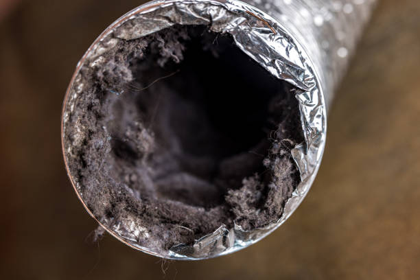 Air Duct Mold Removal in Squaw Valley, CA