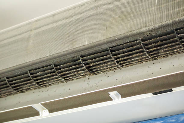 Best Affordable Duct Cleaning Services  in Squaw Valley, CA